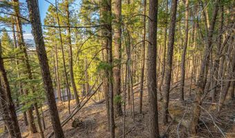 El Camino Real lot 35, Angel Fire, NM 87710