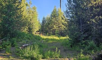 1000 Sanderson Ln, Bovill, ID 83806