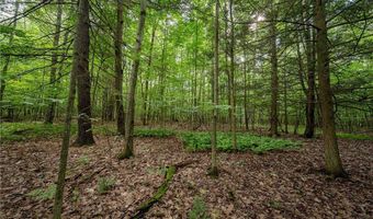County Road 2, Addison, NY 14801