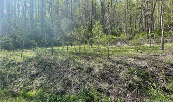 99999 Martins Creek Rd, Barnardsville, NC 28709