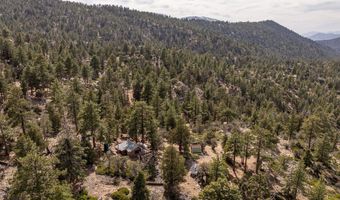 4535 Ironwood, Angelus Oaks, CA 92305