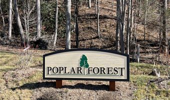 Tbd lot 70 Poplar Forest Drive, Boone, NC 28607