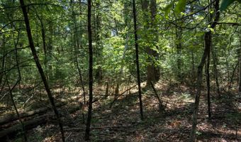 19 Th Pass Lot 132, Arkdale, WI 54613