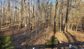 RICHARDSON ROAD, Amelia Court House, VA 23002
