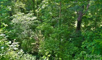 115 Wicklow Dr, Asheville, NC 28806