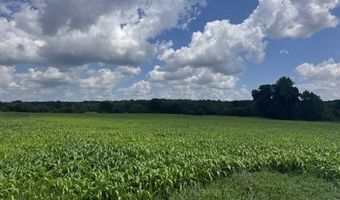 000 175th St, Altamont, MO 64620