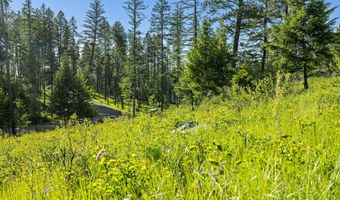 26 Trails End Ct, Bigfork, MT 59911
