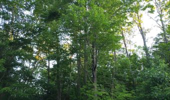 2290 Woodview Dr, Alpena, MI 49707