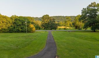 3901 COUNTY ROAD 33, Ashville, AL 35953