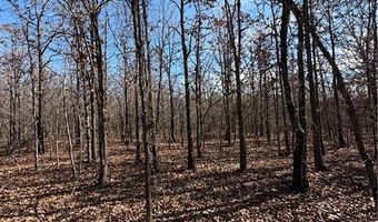 Tract 1 Rural Atoka, Atoka, OK 74525