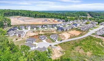 10589 Brownspring Dr 114, Apison, TN 37302
