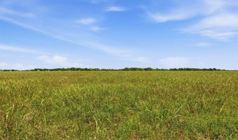 421 Chambers Creek Trl, Alvarado, TX 76009
