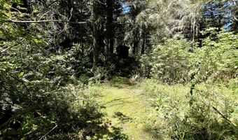 95629 CAPE FERRELO Rd, Brookings, OR 97415