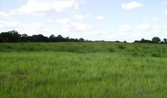 0000 Peach Farm Rd, Ashford, AL 36312