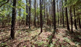2316 Traci Loop, Bogue Chitto, MS 39629