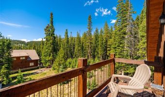 363 Carroll Ln, Breckenridge, CO 80424