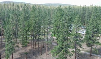 35322 Washoe Rd, Bonner, MT 59823