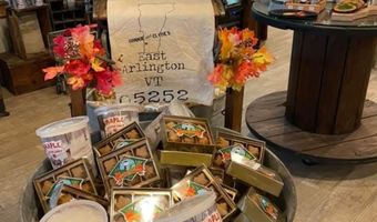 13 Old Mill Rd, Arlington, VT 05250