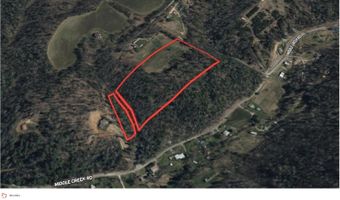 100 Bill Martin Rd, Afton, TN 37616