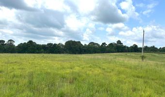 0003 Woody Pace Rd, Antlers, OK 74523