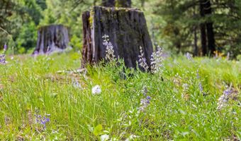 1717 Pine Lakes Ranch Dr, Cascade, ID 83611