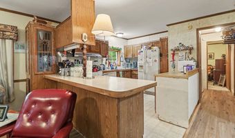 17039 3rd St, Arcadia, MI 49613