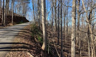 Lt 32 Mining Gap Trail, Young Harris, GA 30582