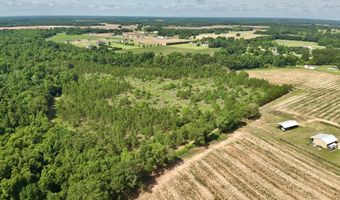 1243 Silcox Rd, Ashford, AL 36312
