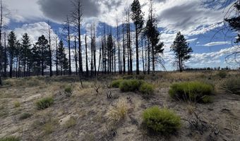 0 Shasta Fir Ln 9, Beatty, OR 97621