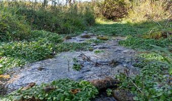 4495 County Road 405, Alton, MO 65606