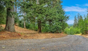 Ziak-Gnat Creek Ln, Astoria, OR 97103