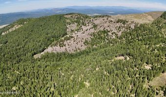 1710 Tower Mountain Rd, Blanchard, ID 83804
