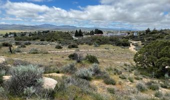 56735 Cain Rd, Anza, CA 92539