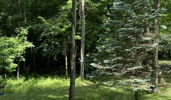 7171 Suerwier, Applegate, MI 48401