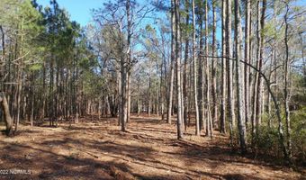 45 Sunset Point Rd, Belhaven, NC 27810