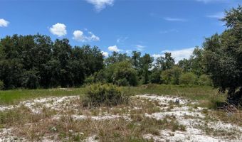 ABUNDANT LIFE DRIVE, Auburndale, FL 33823
