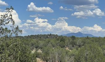 62 Cone Ln, Ash Fork, AZ 86320