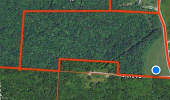 S State Route 555 38.316+- acres, Chesterhill, OH 43728