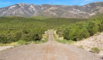 4900 E BIRD CREEK Rd Lot 8, Ely, NV 89301