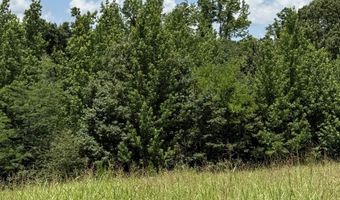 OLD FERRY Rd, Bath Springs, TN 38311
