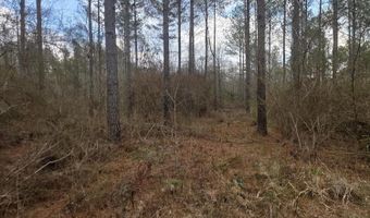 U.S. Highway 51, Bogue Chitto, MS 39629