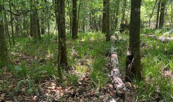 Highway 27, Attapulgus, GA 39815