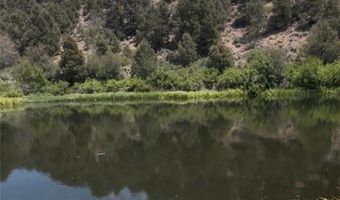 13300 Willard Creek Ranch Rd, Ely, NV 89311