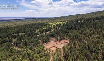 8719 Ponderosa Pine Dr, Beulah, CO 81023