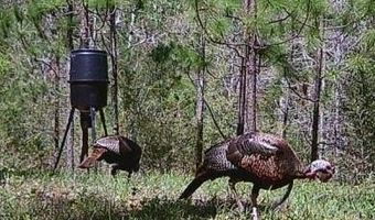 259 Forest Lake Rd, Beaumont, MS 39423