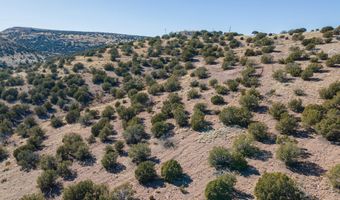 4975 N Tanner Mountain Rd, Chino Valley, AZ 86323
