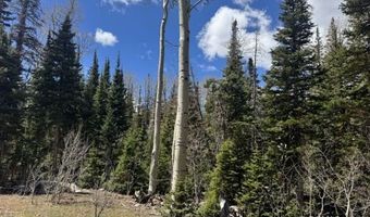 361 N Falcon Ct, Brian Head, UT 84719