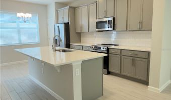 438 LADY PALM St, Apopka, FL 32703