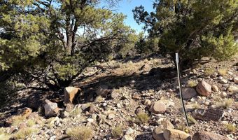 1037 S Canyon Dr, Cedar City, UT 84720