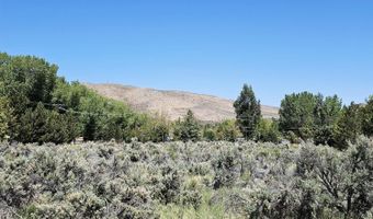 310 Mark Way, Carson City, NV 89706